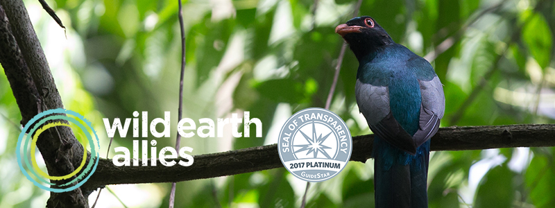 Wild Earth Allies Receives GuideStar Platinum Seal of Transparency