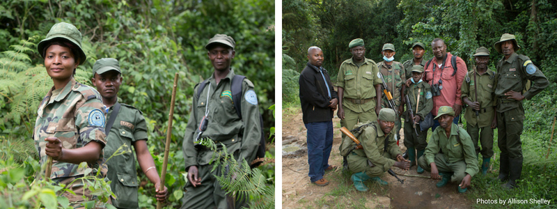 Dr Augustin Basabose with rangers in Kahuzi Biega by Allison Shelley_wild earth allies_2018_blog