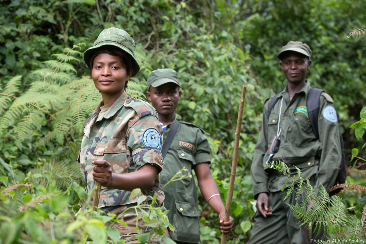 Wild Earth Allies | Protecting Our Natural World, Together