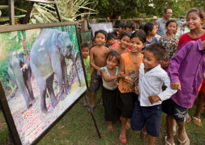 Wildlife posters in Siem Bouk