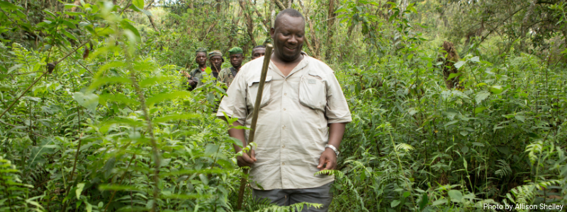 Voices from the Field: Dr. Augustin K. Basabose, Founder and Executive Director of Primate Expertise