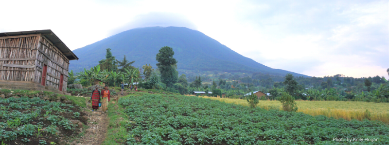Water Tanks in Rwanda – A win-win for people and mountain gorillas