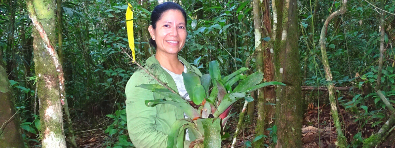 Voices from the Field: Elma Kay, Ph.D., of the University of Belize Environmental Research Institute