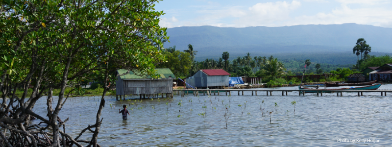 Report: Marine Biodiversity Assessment Kampot, Cambodia