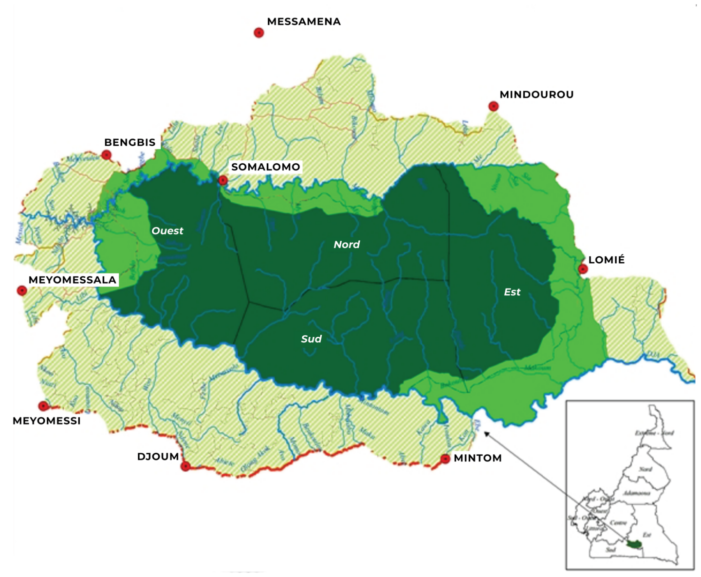 Supporting Wildlife, Habitats, and People in the Dja Biosphere Reserve ...