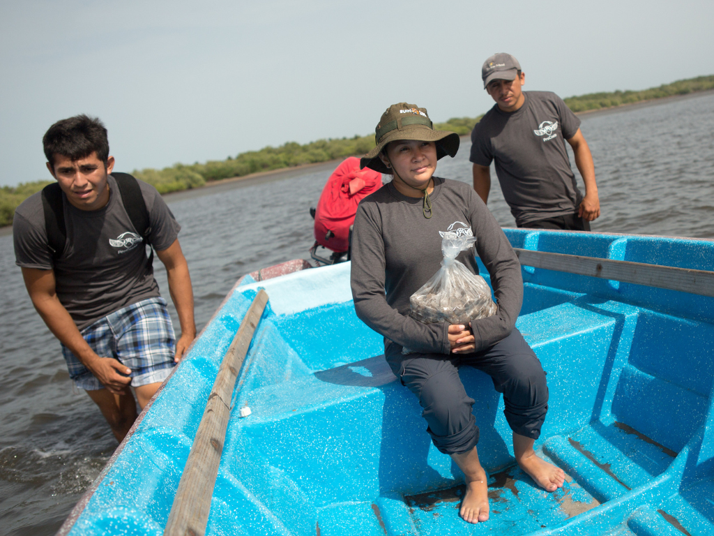 ProCosta team members carry a bag of hawksbill eggs in a boat