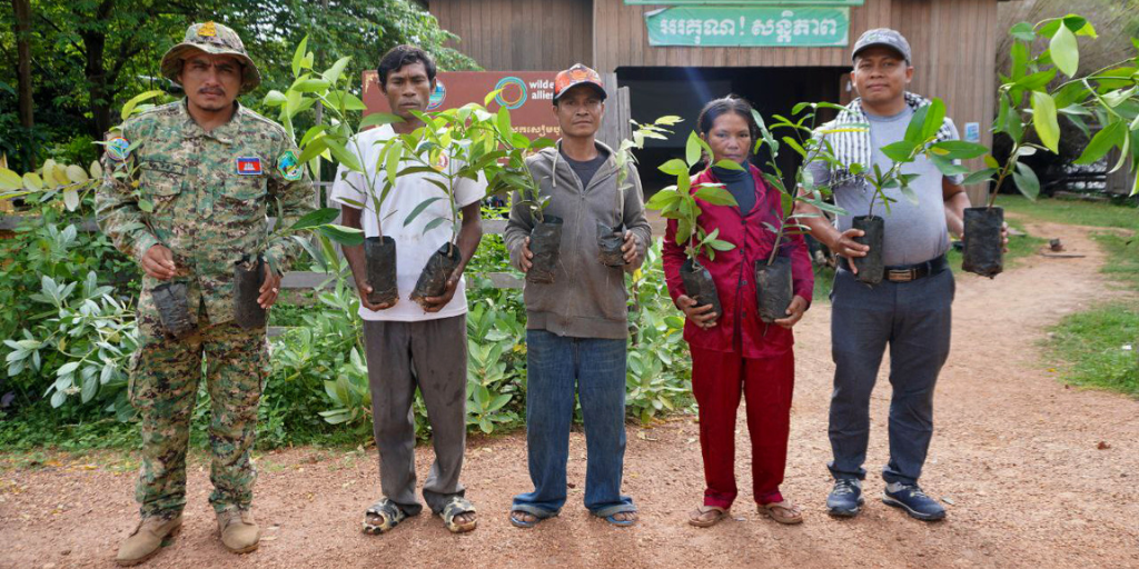 How the Elephant Trees Project Restores Forests in Cambodia