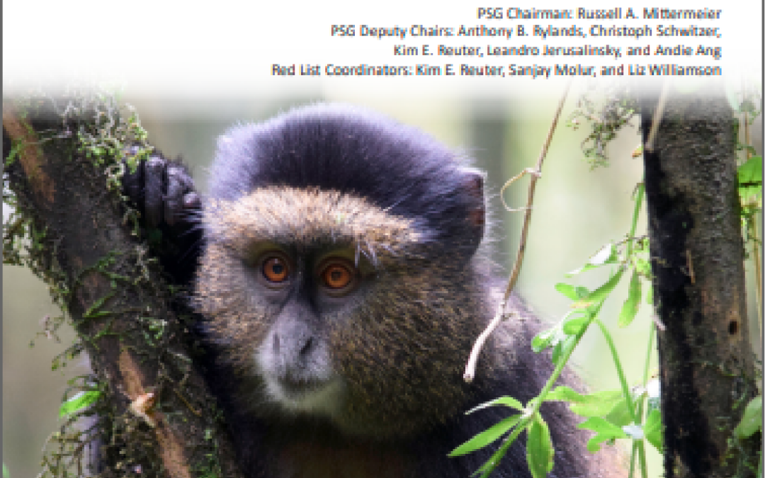 Confirmed Presence of a Small, Isolated Population of Cercopithecus mitis on Idjwi Island,  Democratic Republic of Congo