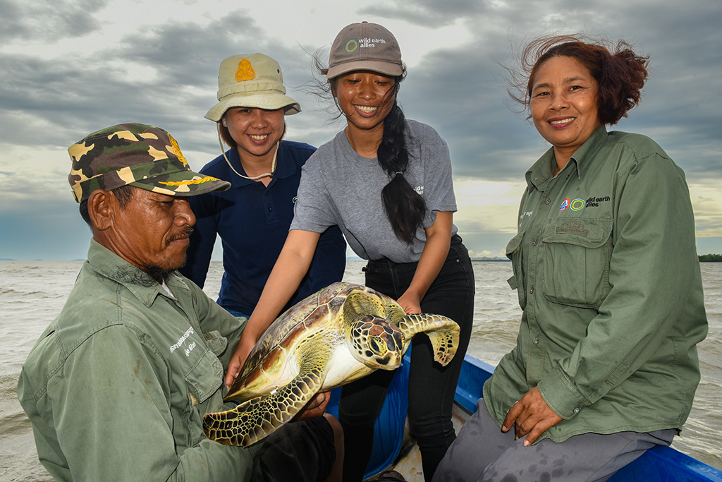 Four people prepare to release a sea turtle in Cambodia.