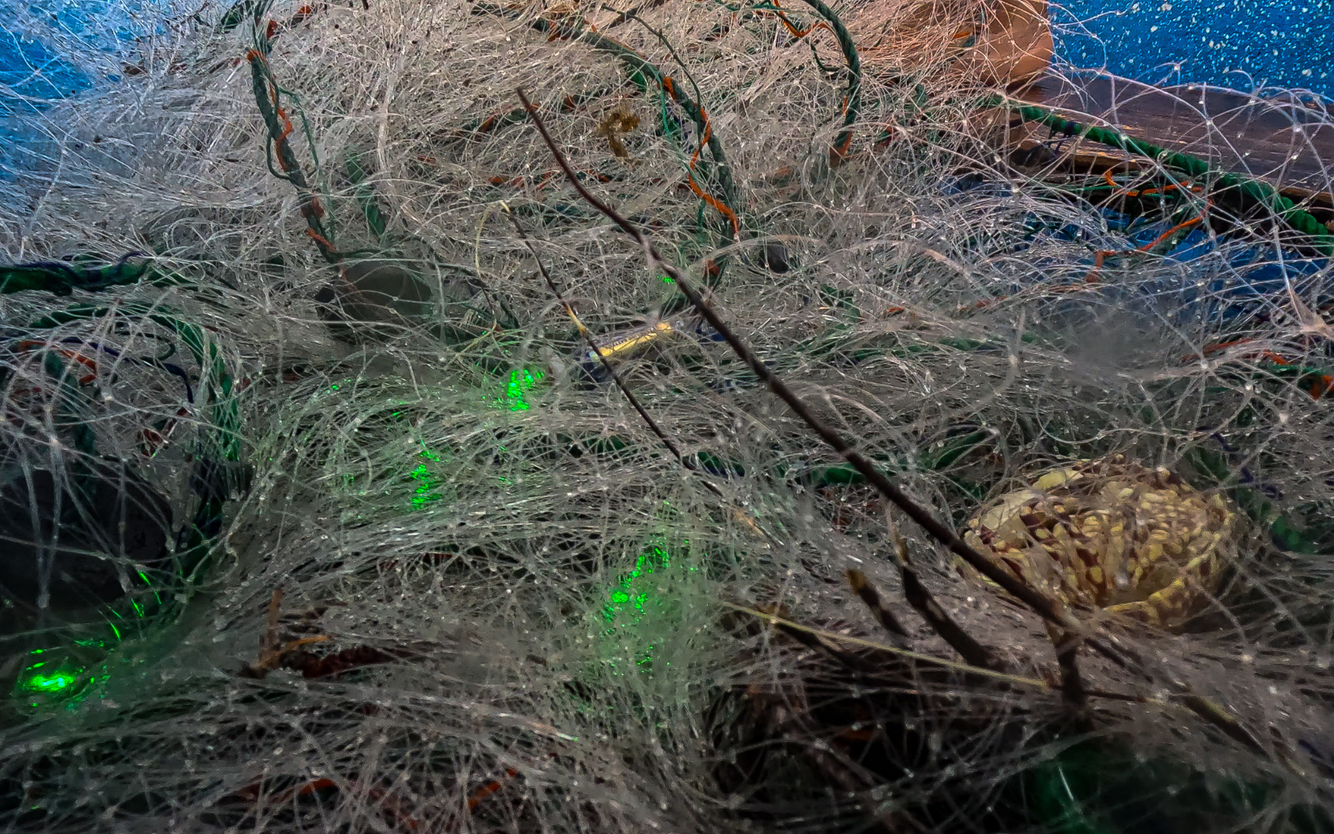 Green LED lights on fishing wire