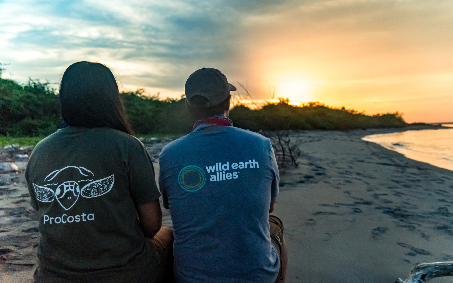 Two individuals, one wearing a ProCosta shirt and one wearing a Wild Earth Allies shirt, watch the sunrise on the beach