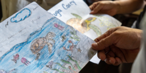 Childrens' drawings of hawksbill sea turtles.