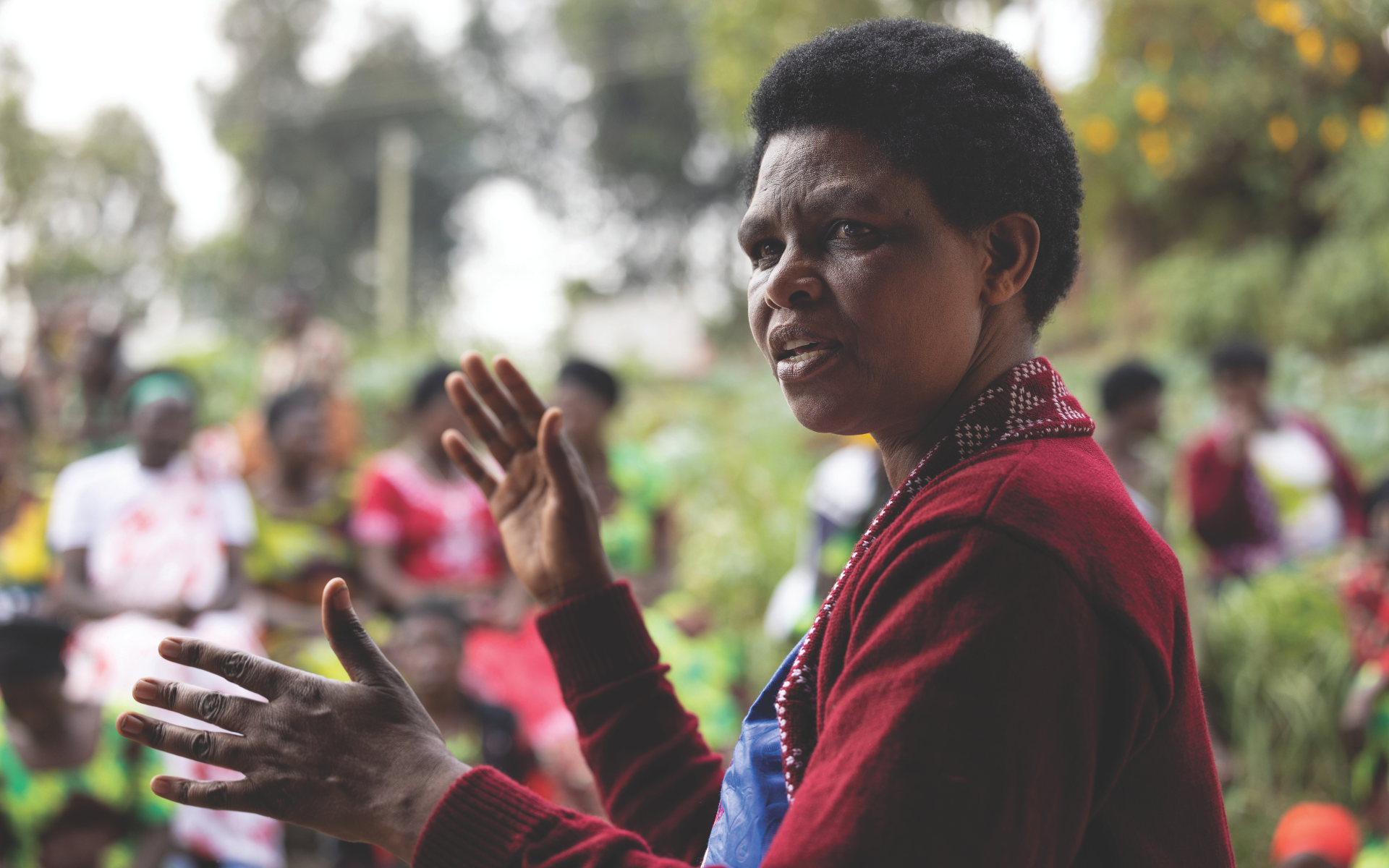 A chart showing the cumulative increase in hawksbill hatchlings released