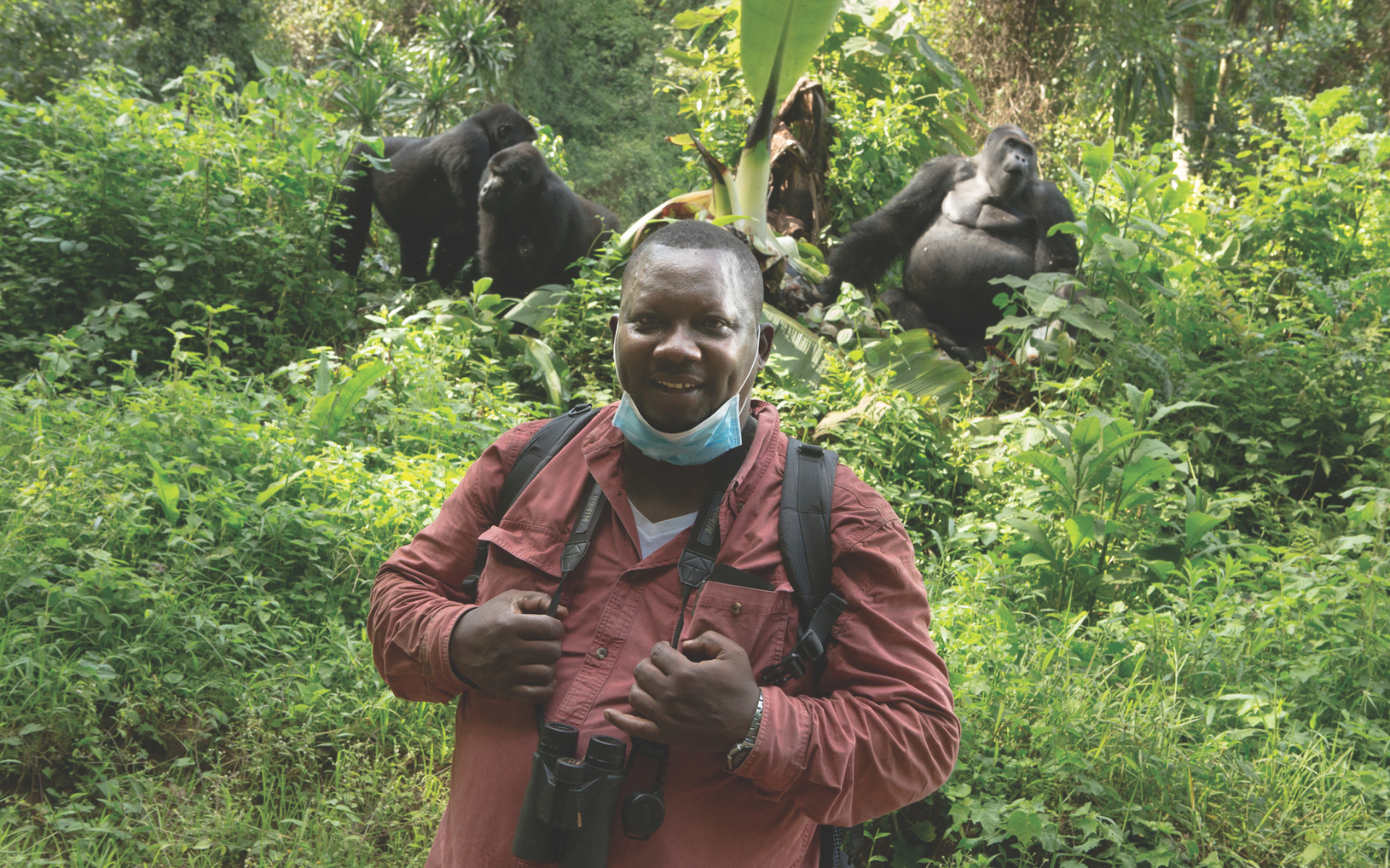 A chart showing the cumulative increase in hawksbill hatchlings released