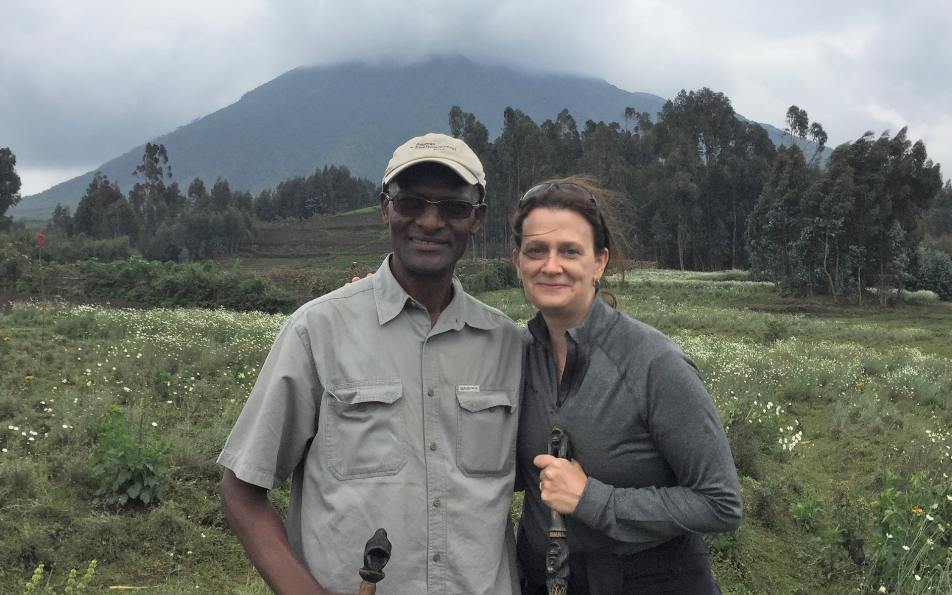 A chart showing the cumulative increase in hawksbill hatchlings released