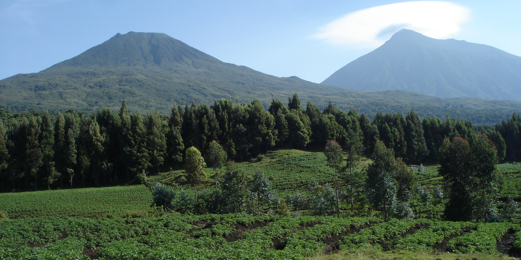 Insights from Rwanda: 30 Years of Partnership for People and Nature