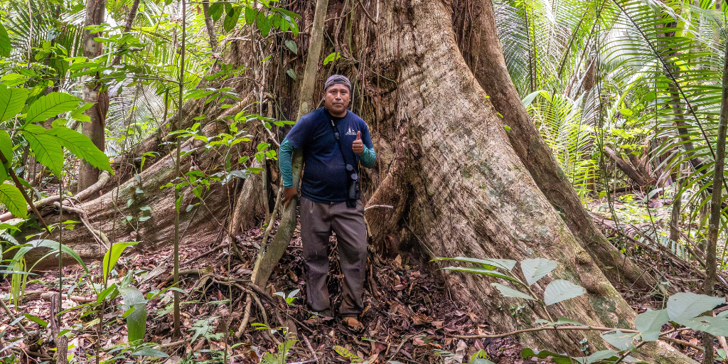 Louis Peña standing in front of a large tree