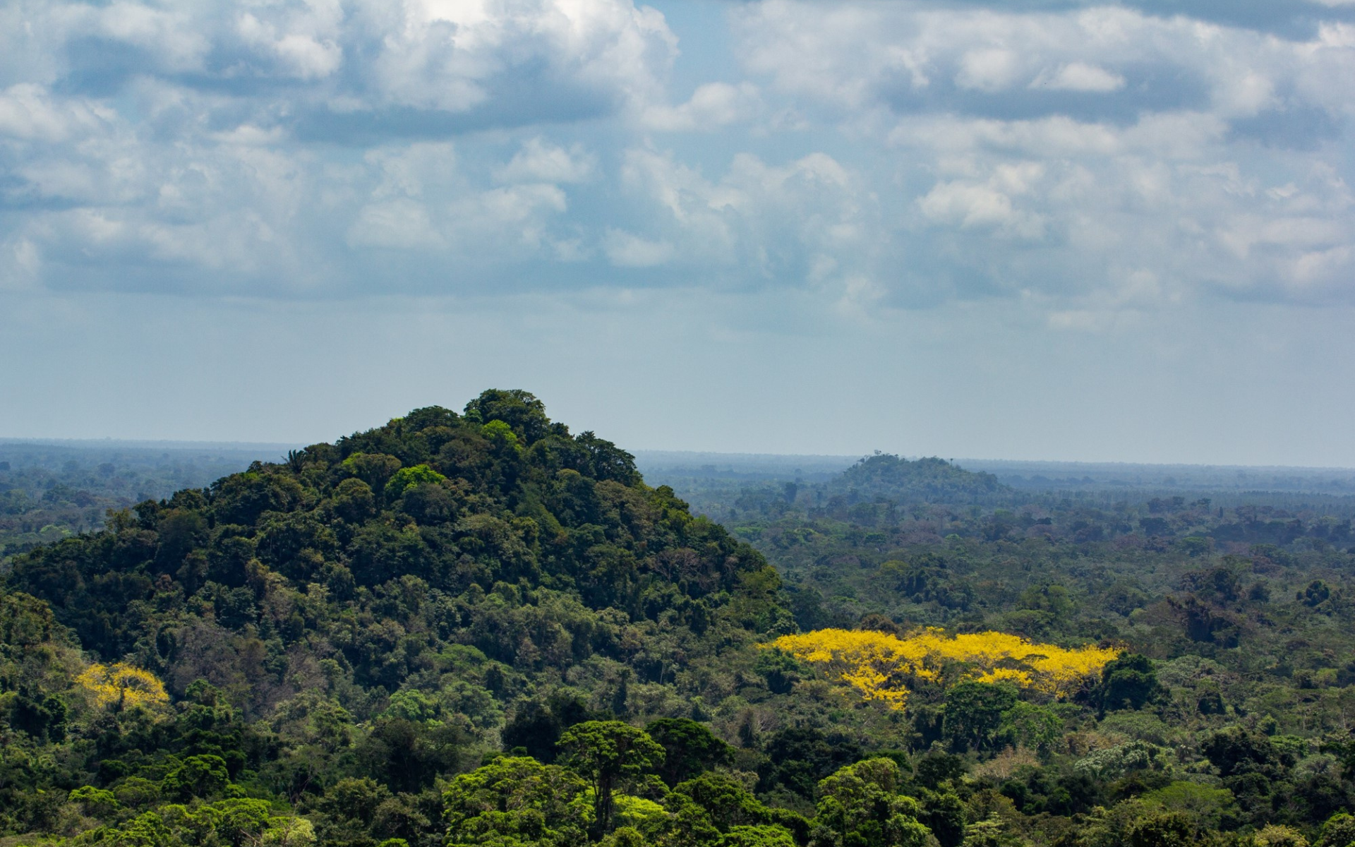 A woman farms in the DRC
