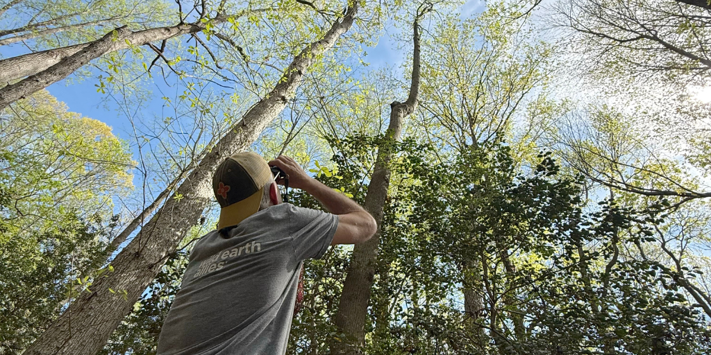 From Swamp to Shore: Expanding Wetland Conservation in Delaware