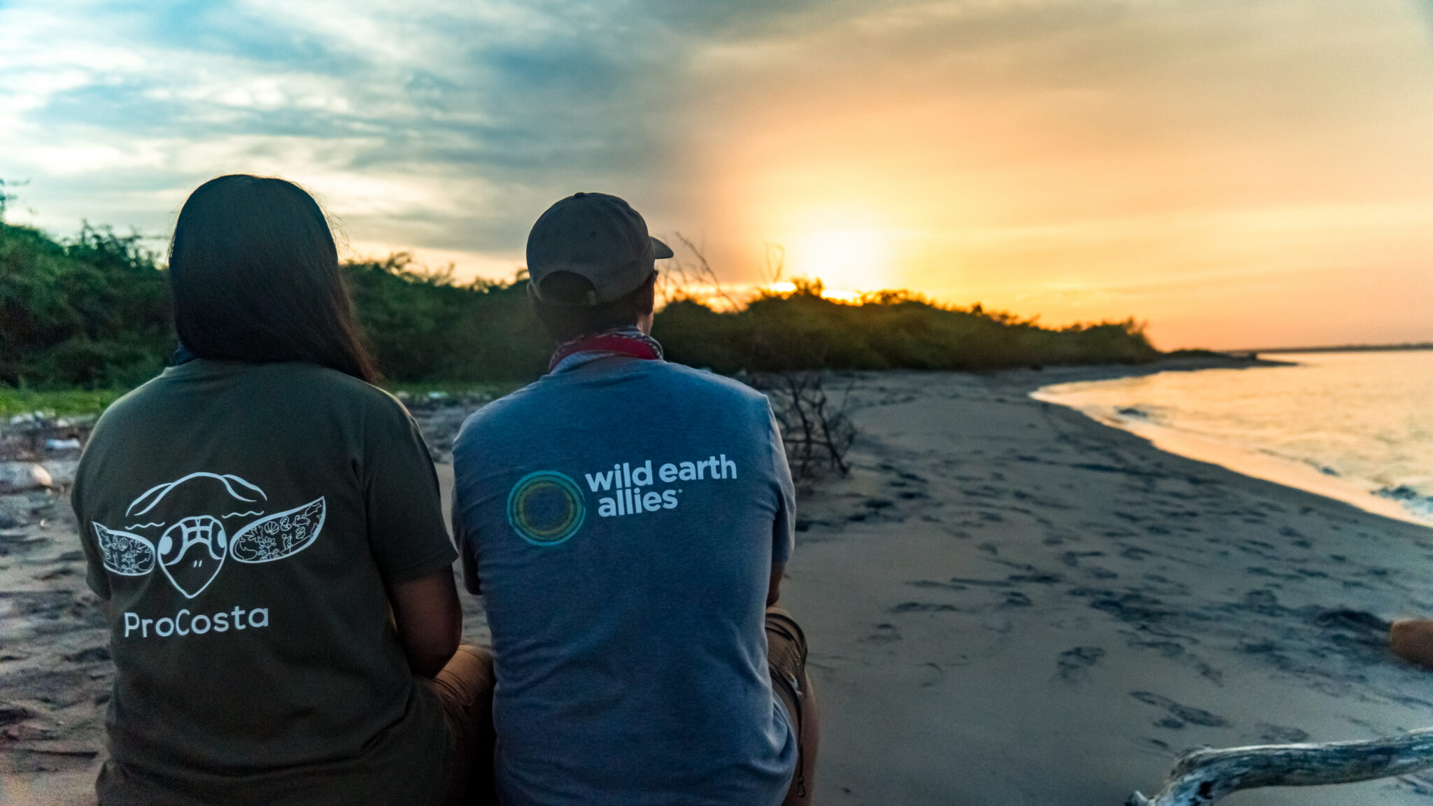 Two people sitting on a coast at sunset from behind, one wearing a ProCosta t-shirt and one wearing a Wild Earth Allies t-shirt