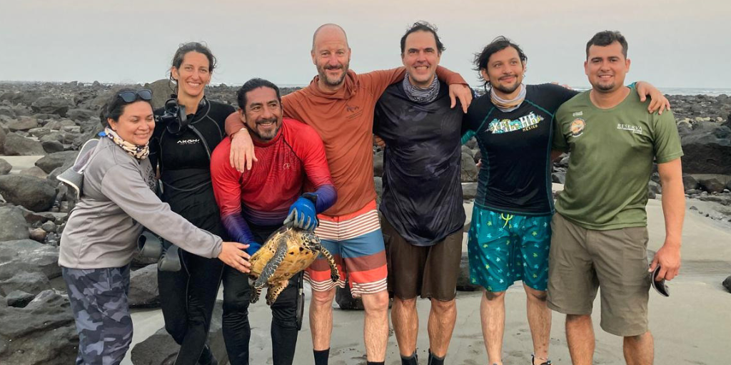 Sharing Knowledge for Hawksbill Conservationâfrom Ecuador to El Salvador