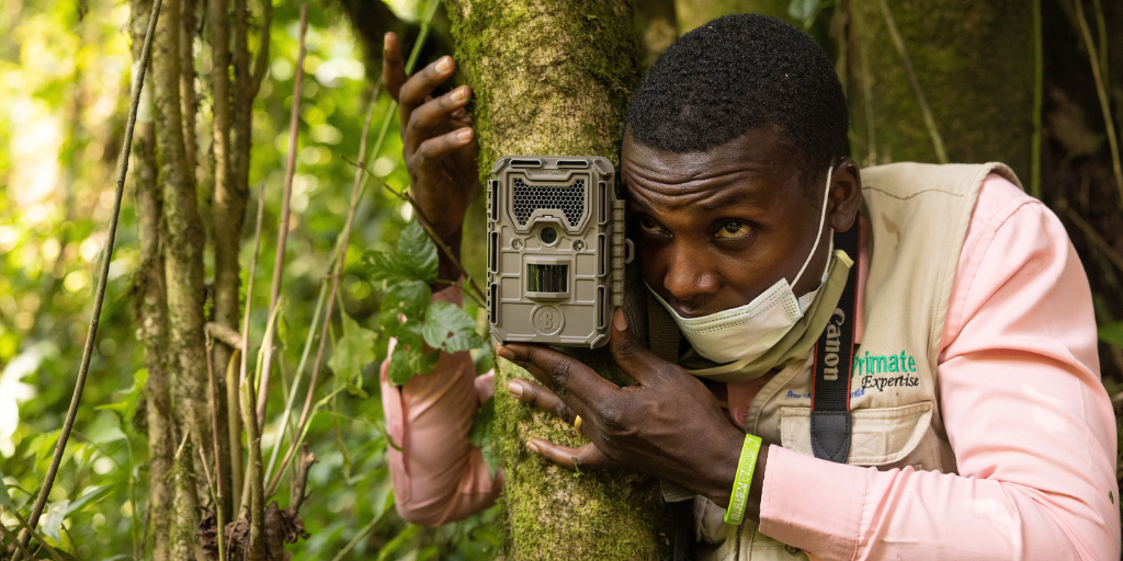 A New Generation is Shaping Primate Conservation in the DRC